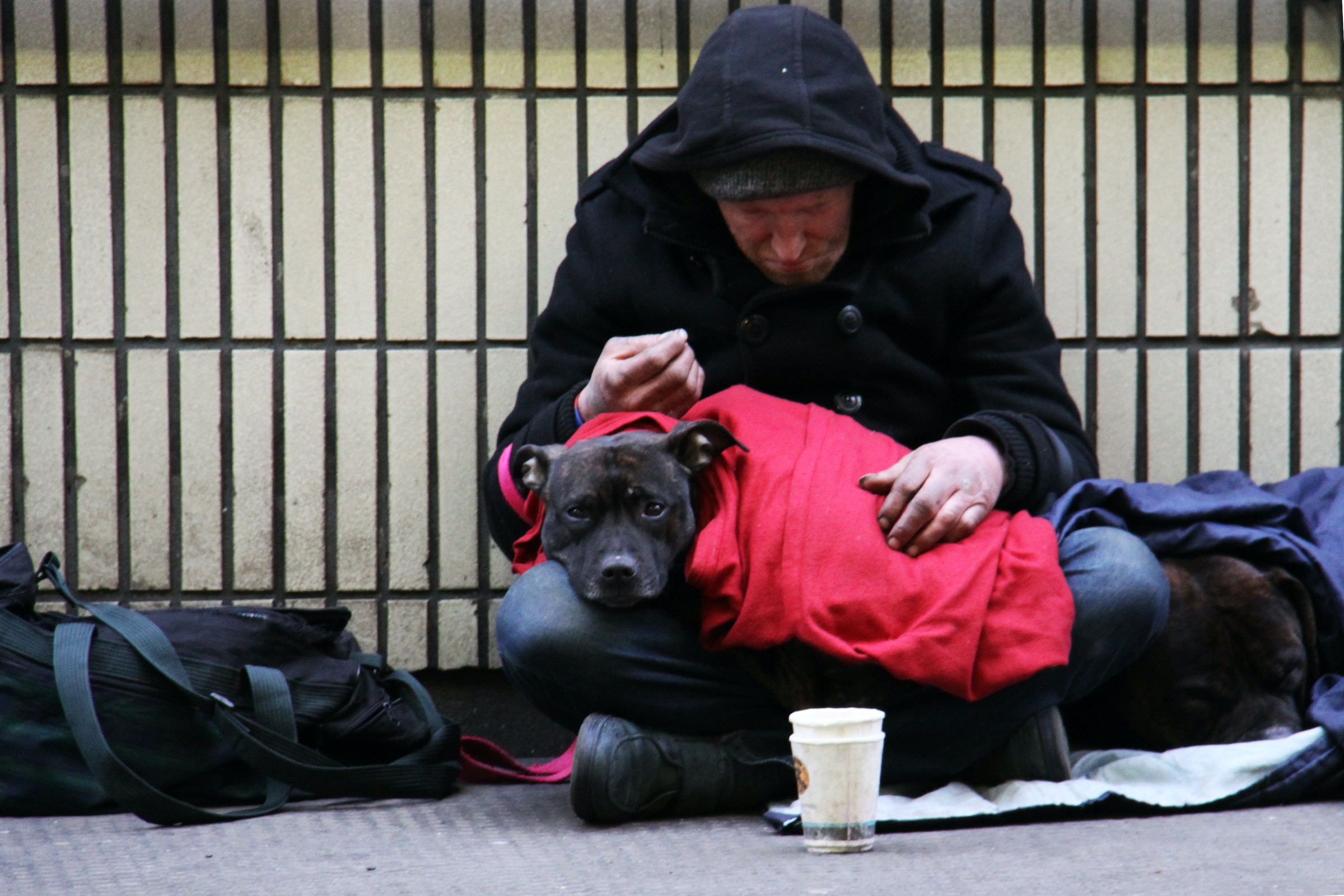 The National Union of the Homeless (USA)